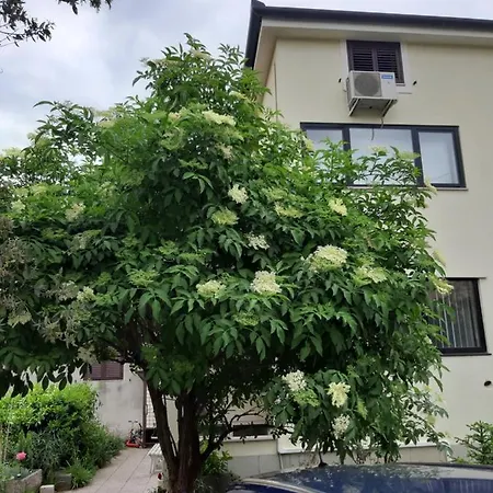 Apartmán Apartma Lavela Izola