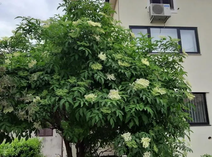 Appartement Apartma Lavela Izola